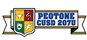 Peotone Community Unit School District 207 U